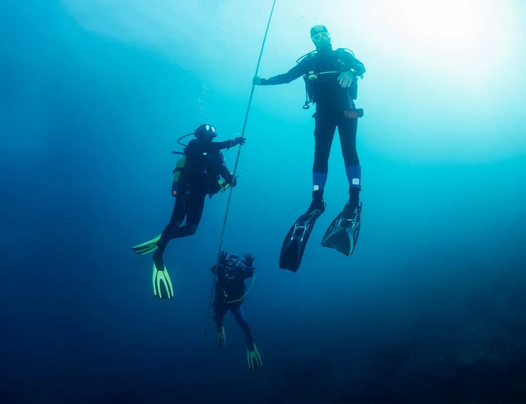 Find Your Perfect Dive : Exploring Different Diving Types 