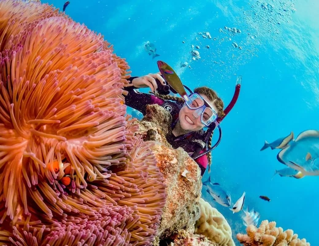 Top Diving Destinations for Beginners and Pros