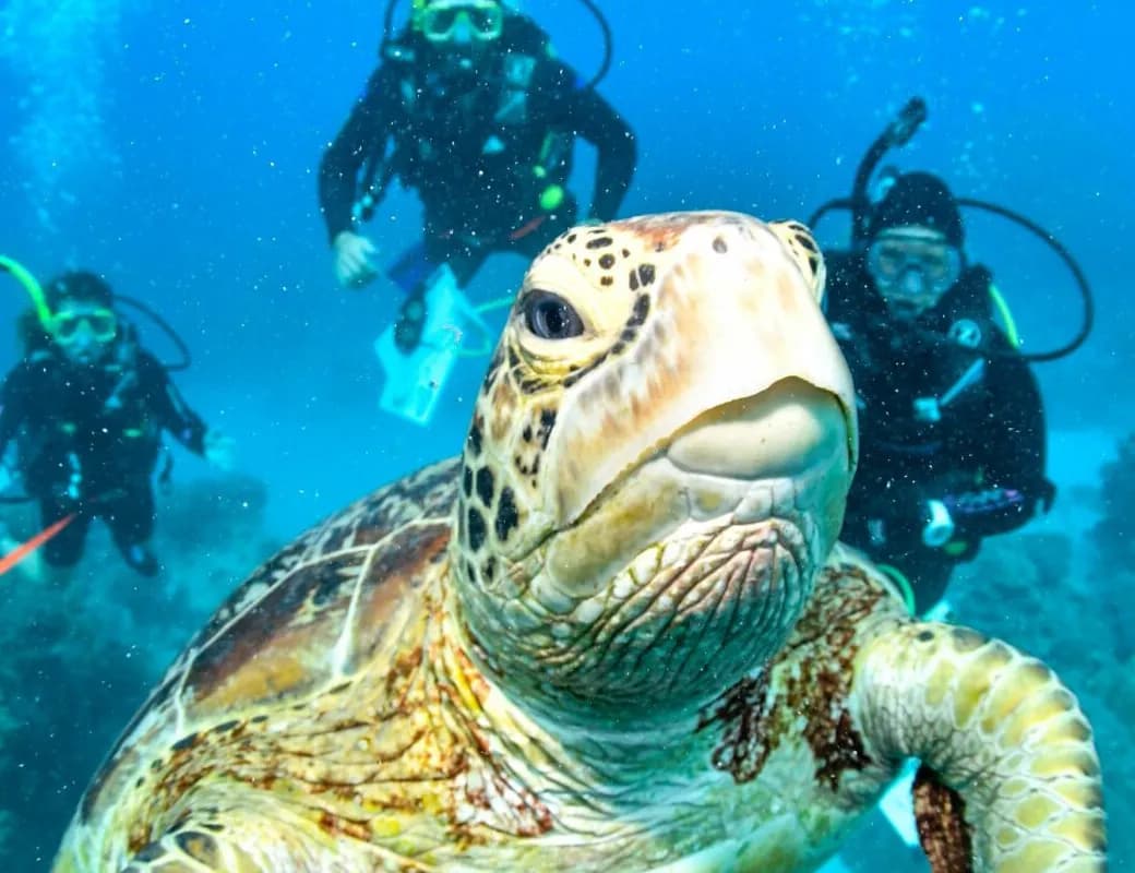 Protecting Marine Environments