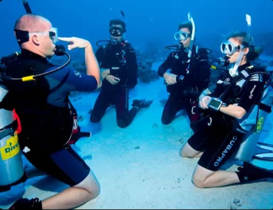 Divemaster