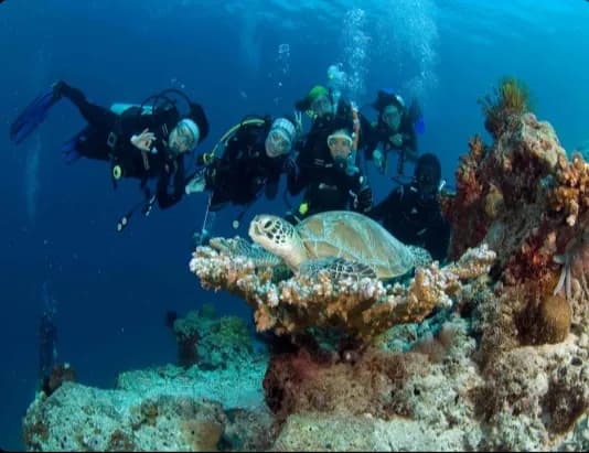 Deep Diver