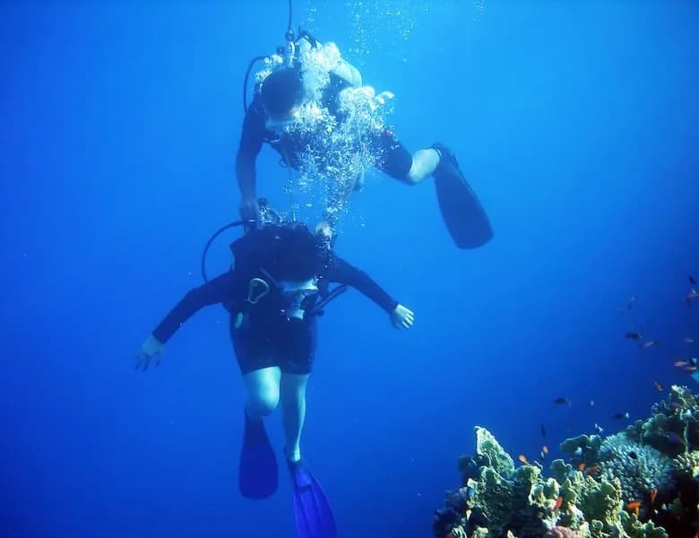 PADI Divemaster Course