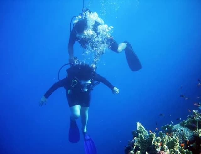 ^PADI Divemaster Course image