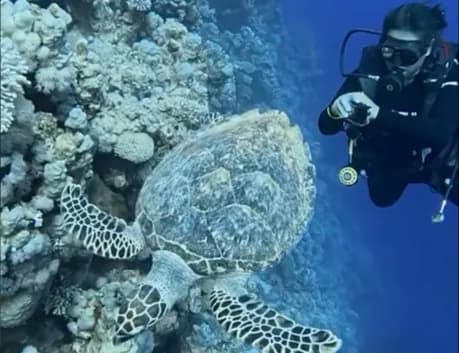 PADI ADVANCED OPEN WATER DIVER