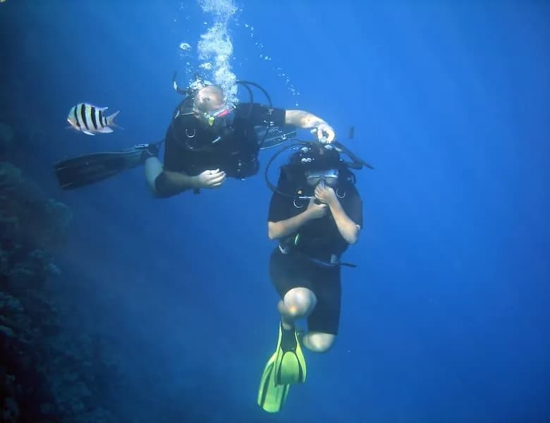 PADI Divemaster