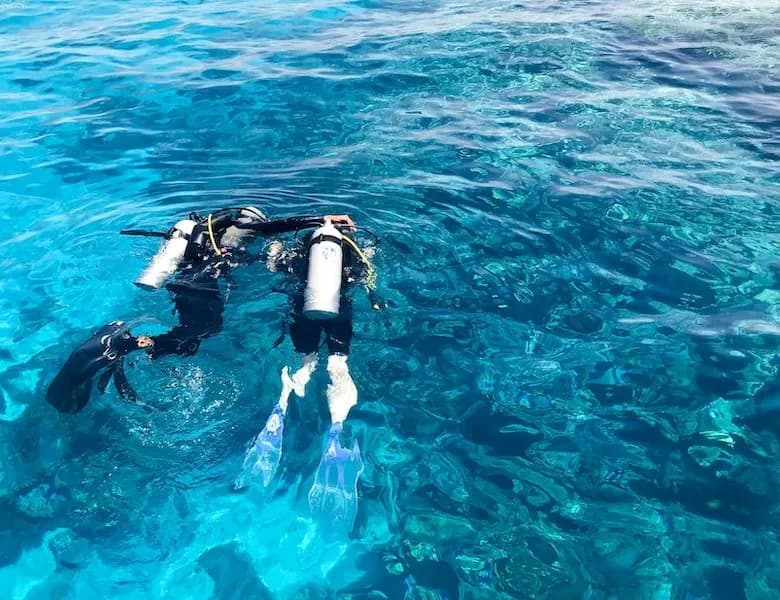 PADI Open Water Diver