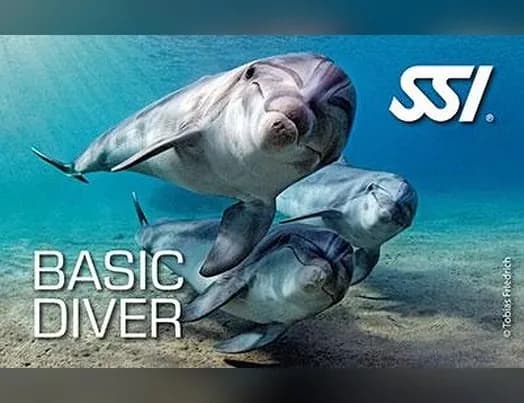SSI Basic Diver