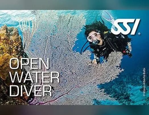 SSI Open Water Diver