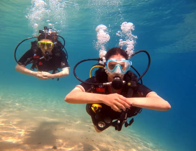 ^PADI Open Water Diver Course image