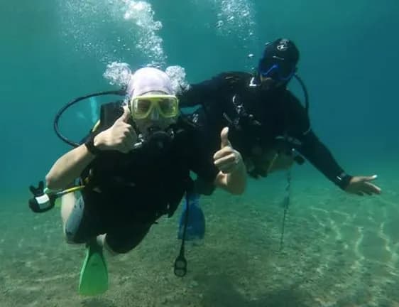 PADI SCUBA DIVER
