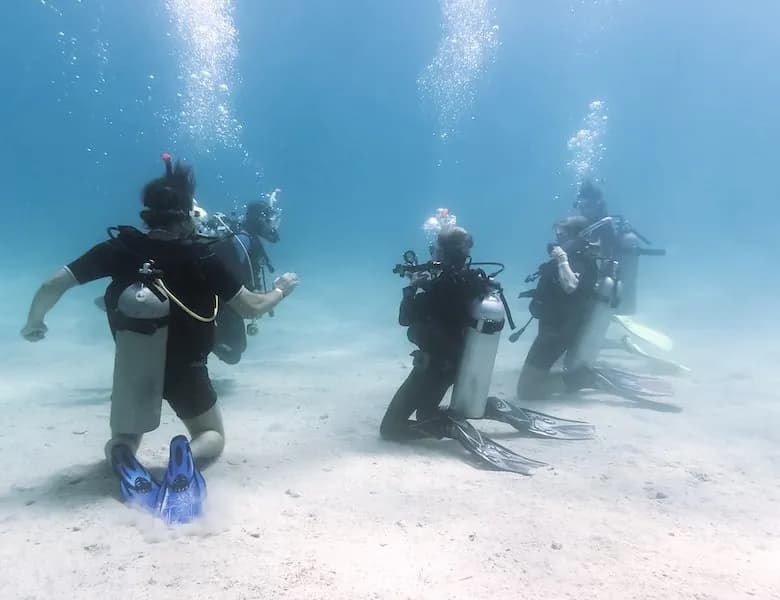PADI Open Water Diver Course