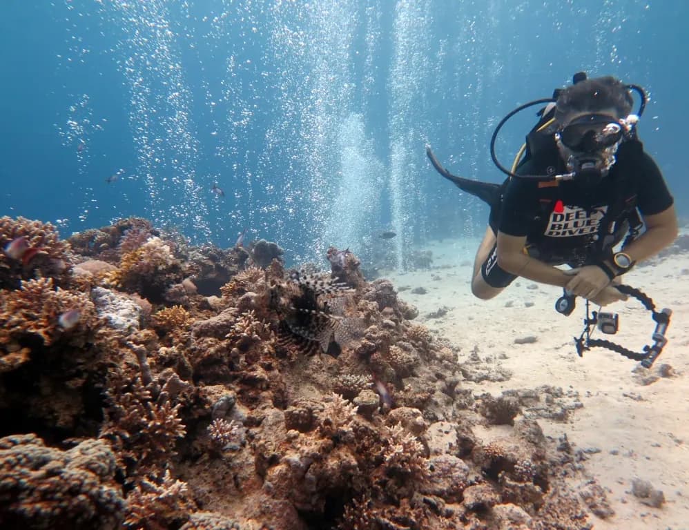 6 dives package
