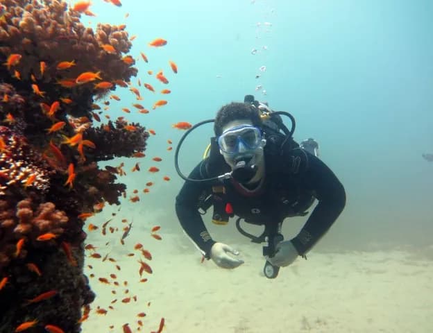 One Day two dives