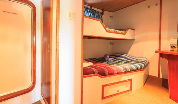 Deluxe Bunk