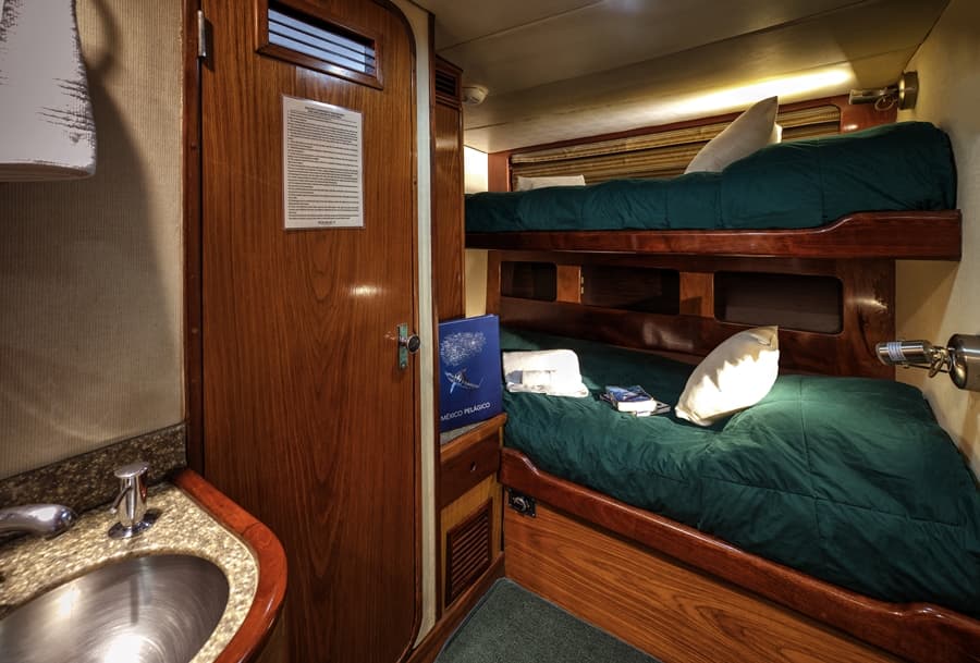 Standard Stateroom Lower Deck