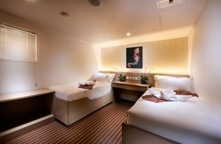Lowest Priced Cabin